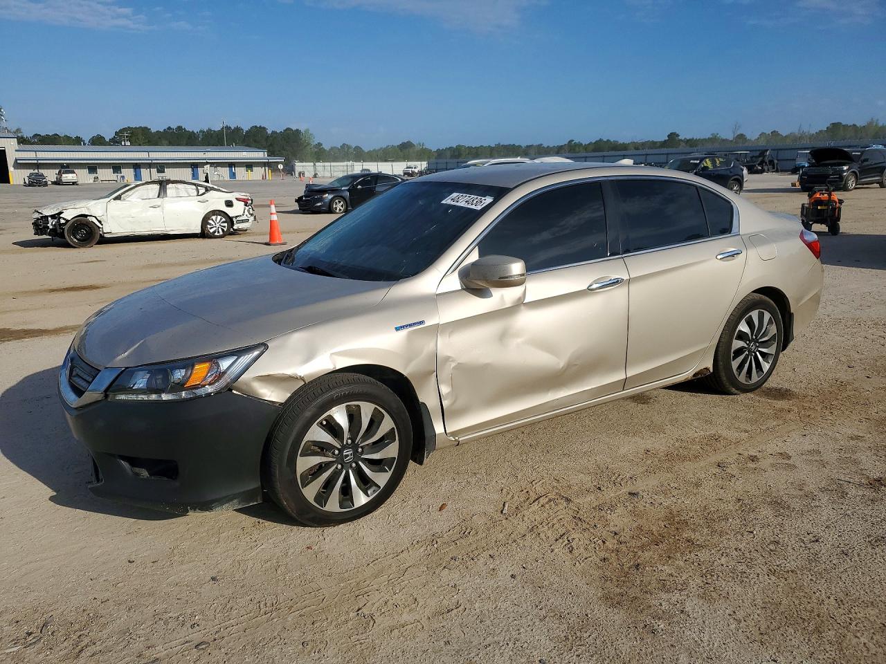 Salvage Honda Accord Image