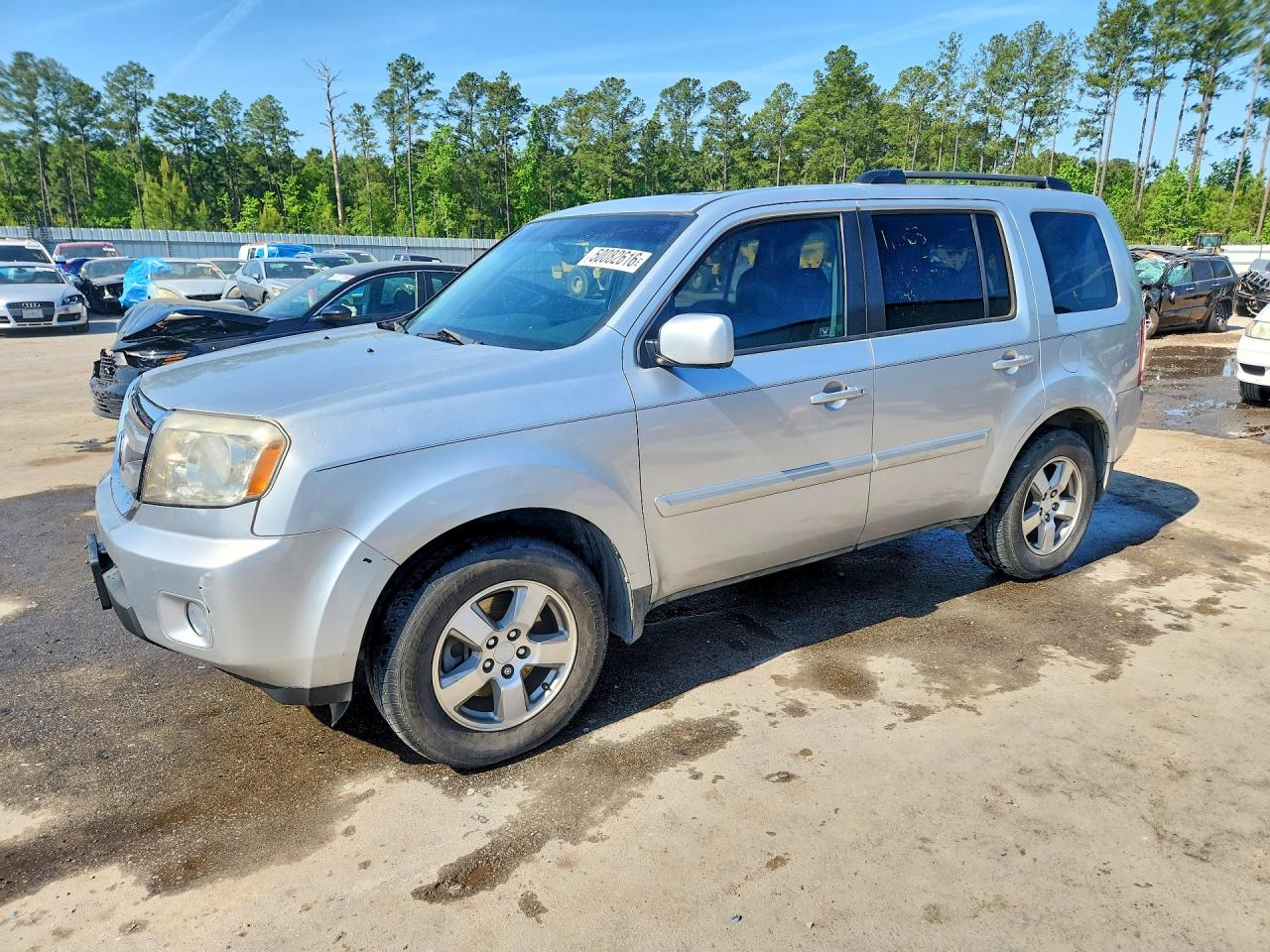 Salvage Honda Pilot Image