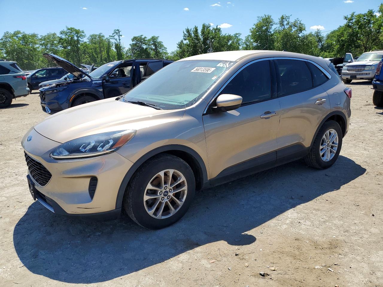 Salvage Ford Escape Image