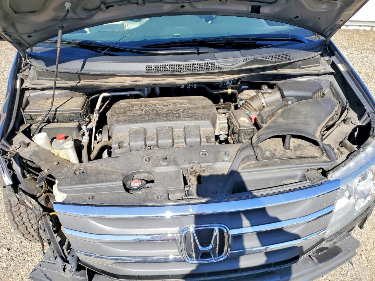 Honda Odyssey Exl