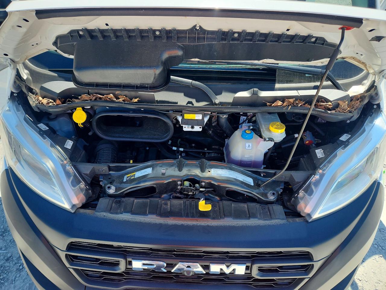 Ram Promaster