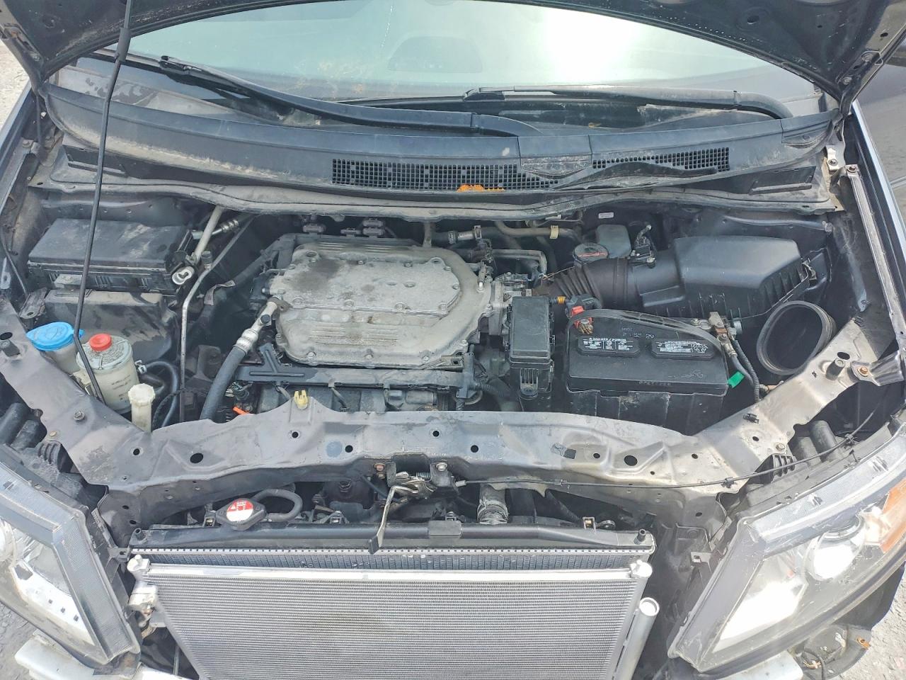Honda Odyssey Exl
