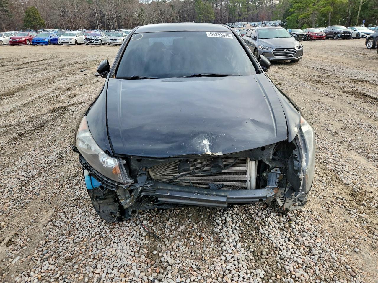 Honda Accord Se