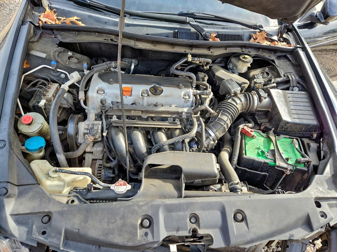 Honda Accord Se