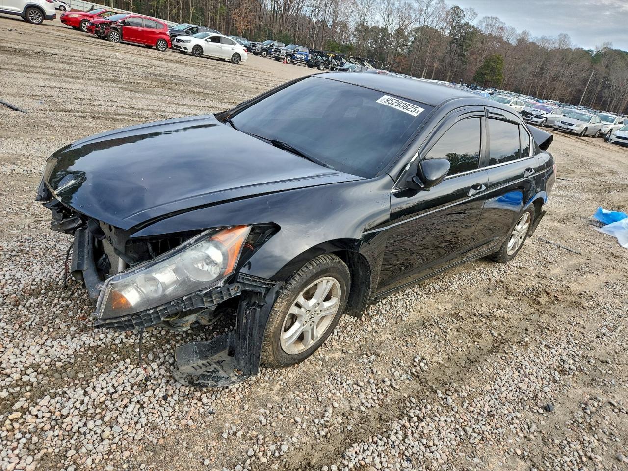 Salvage Honda Accord Image