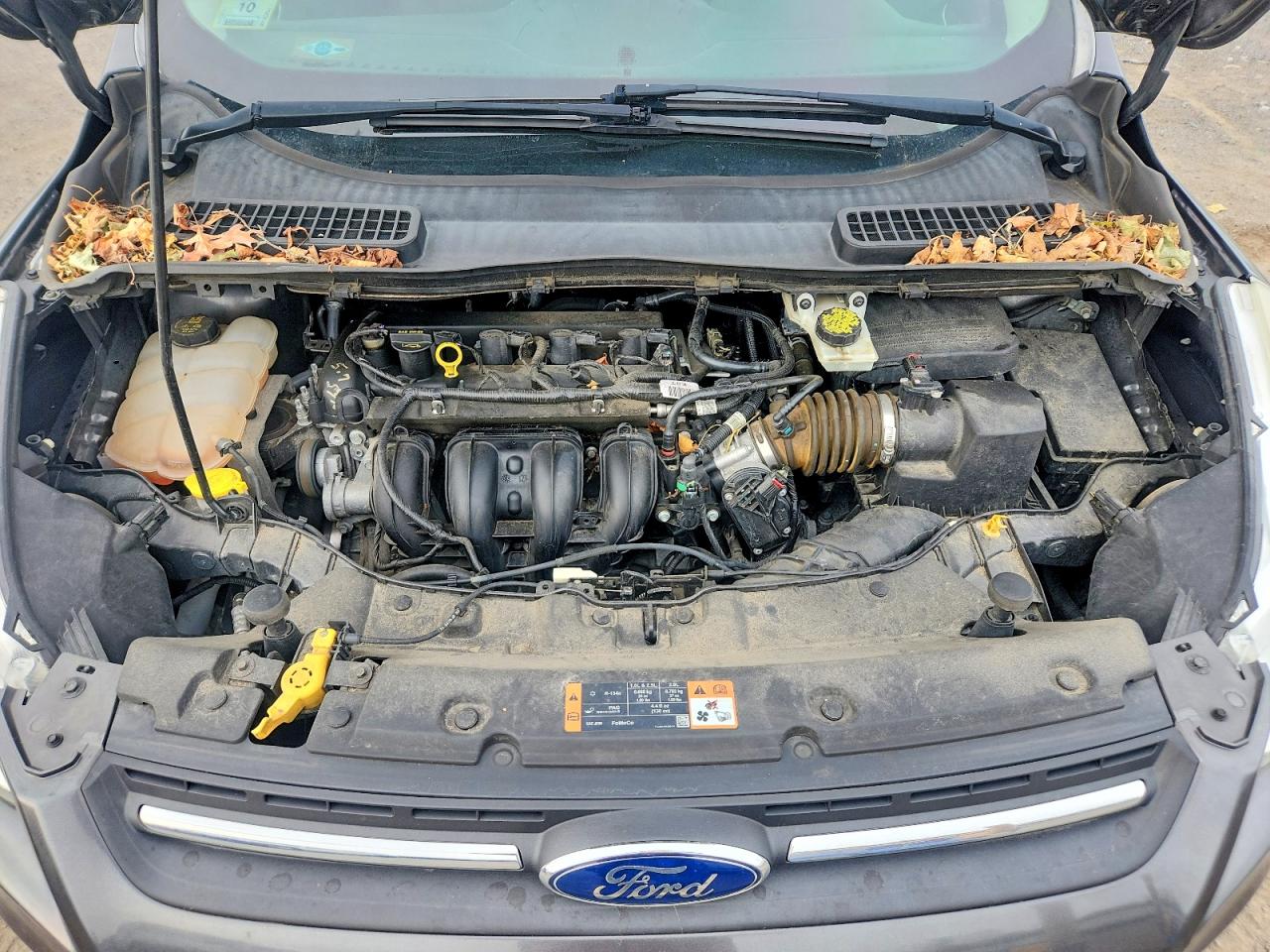 Ford Escape Se