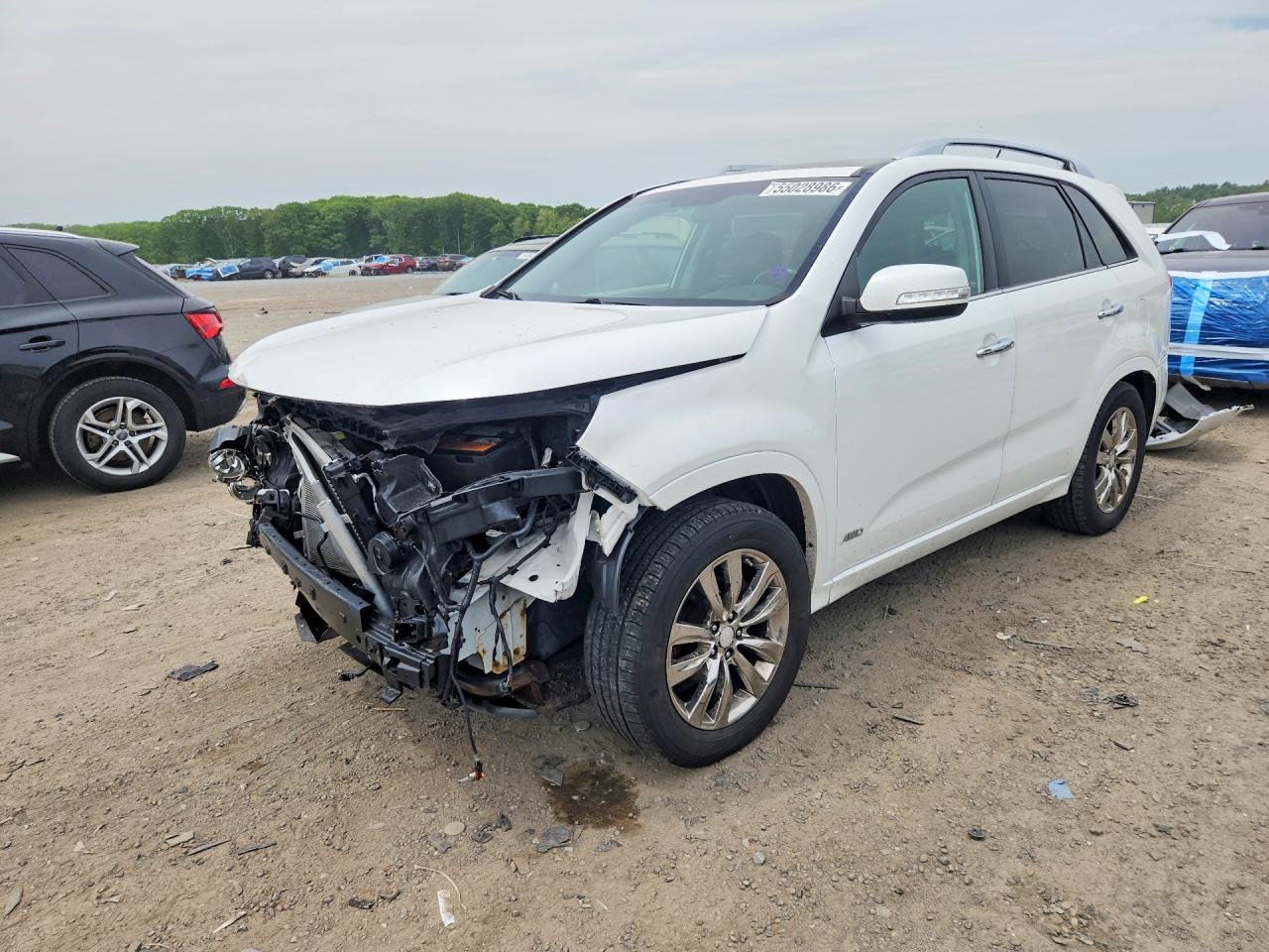 Salvage Kia Sorento Image