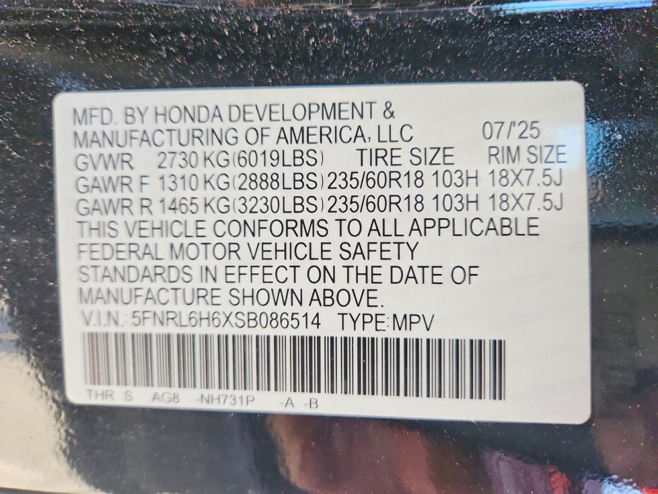 Honda Odyssey Exl