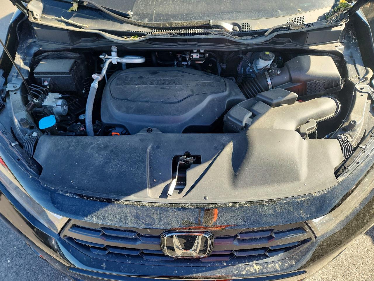 Honda Odyssey Exl