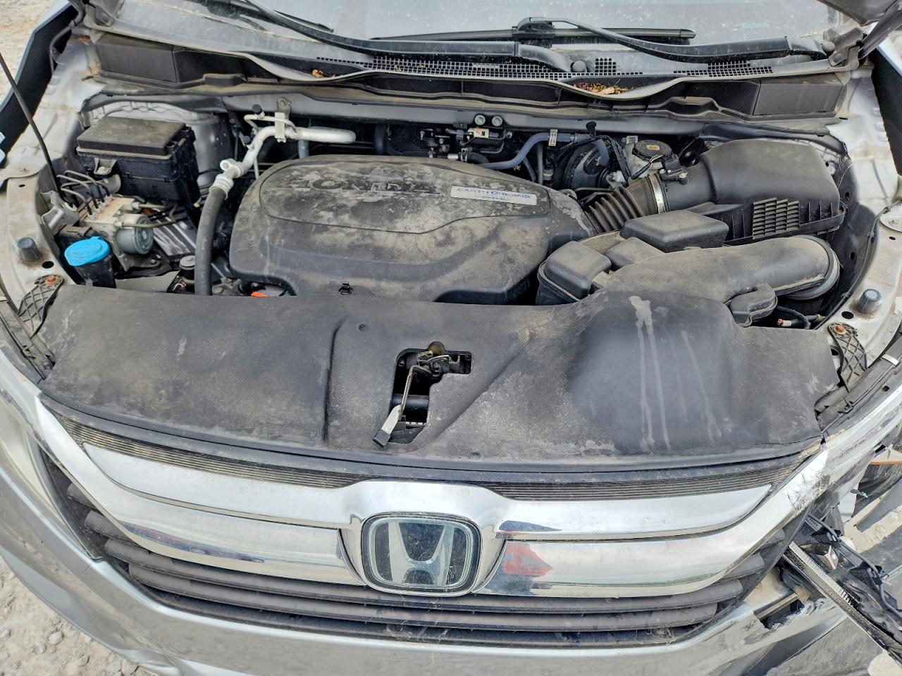 Honda Odyssey Exl