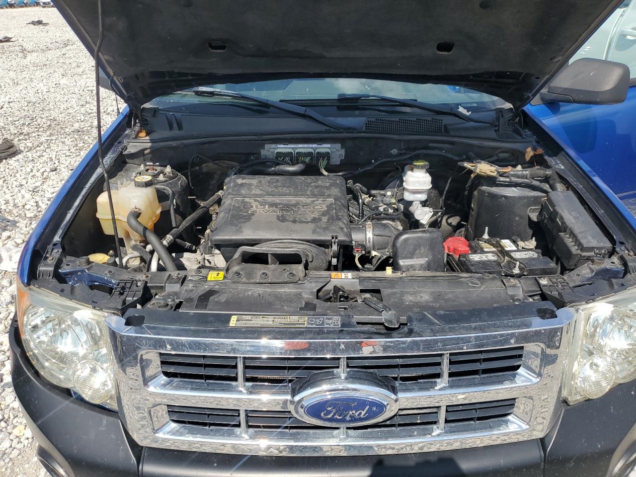 Ford Escape Xlt