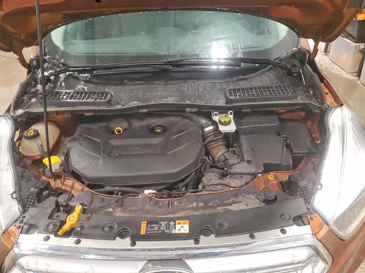 Ford Escape Se