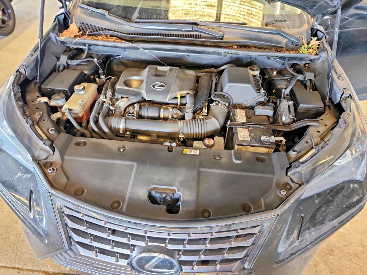 Lexus NX Base
