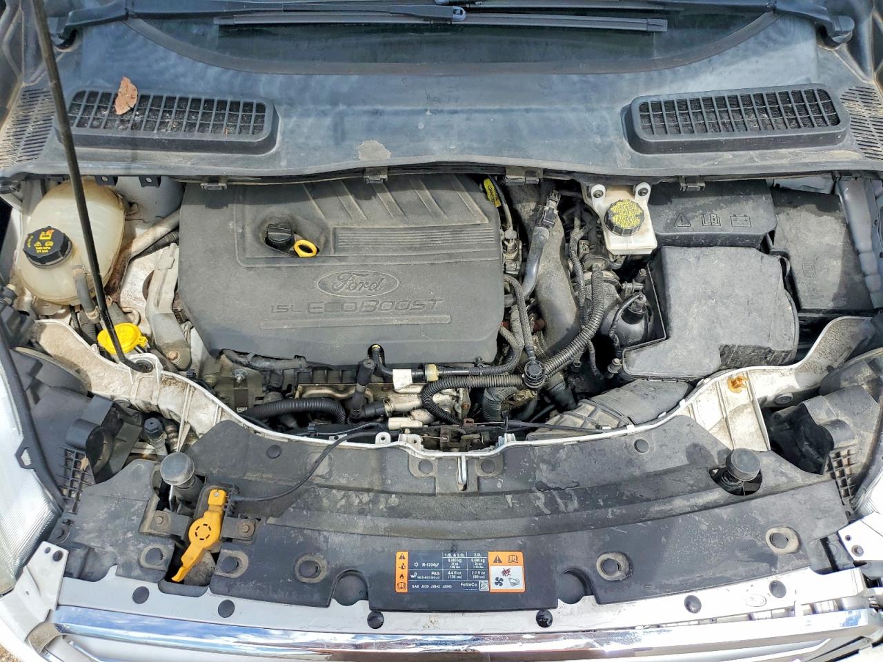 Ford Escape Se