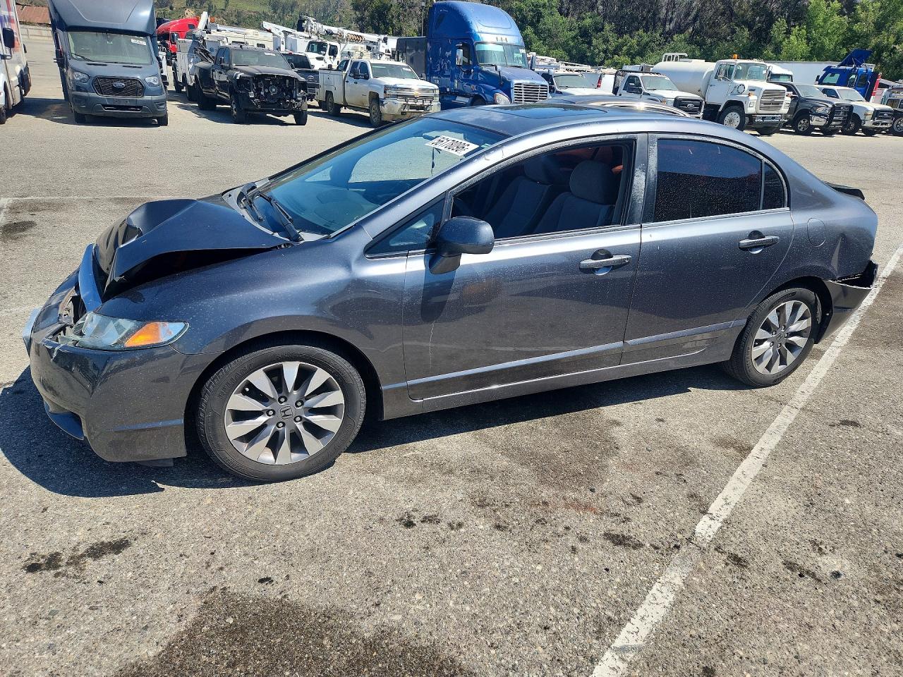Salvage Honda Civic Image