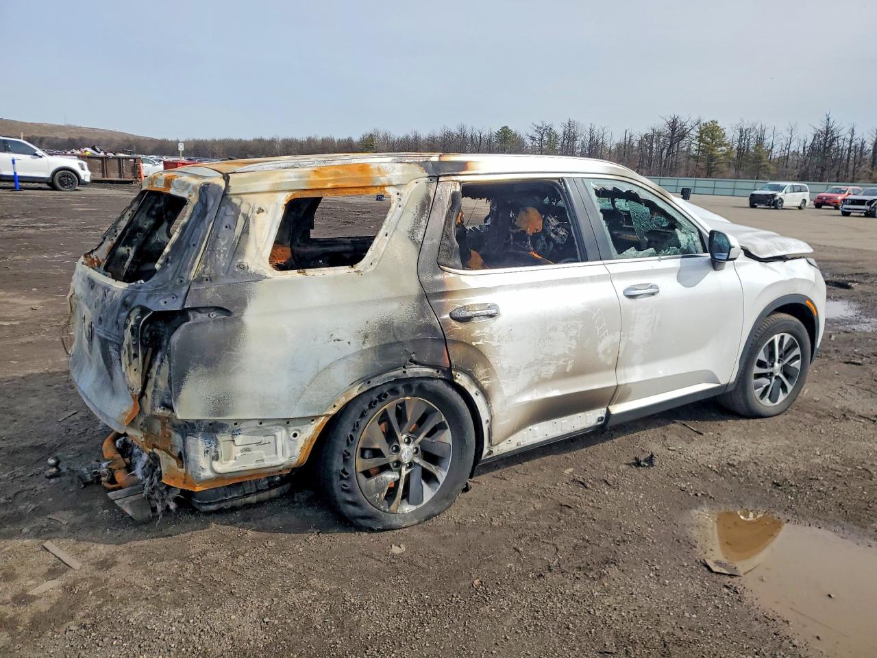 Hyundai PALISADE Sel