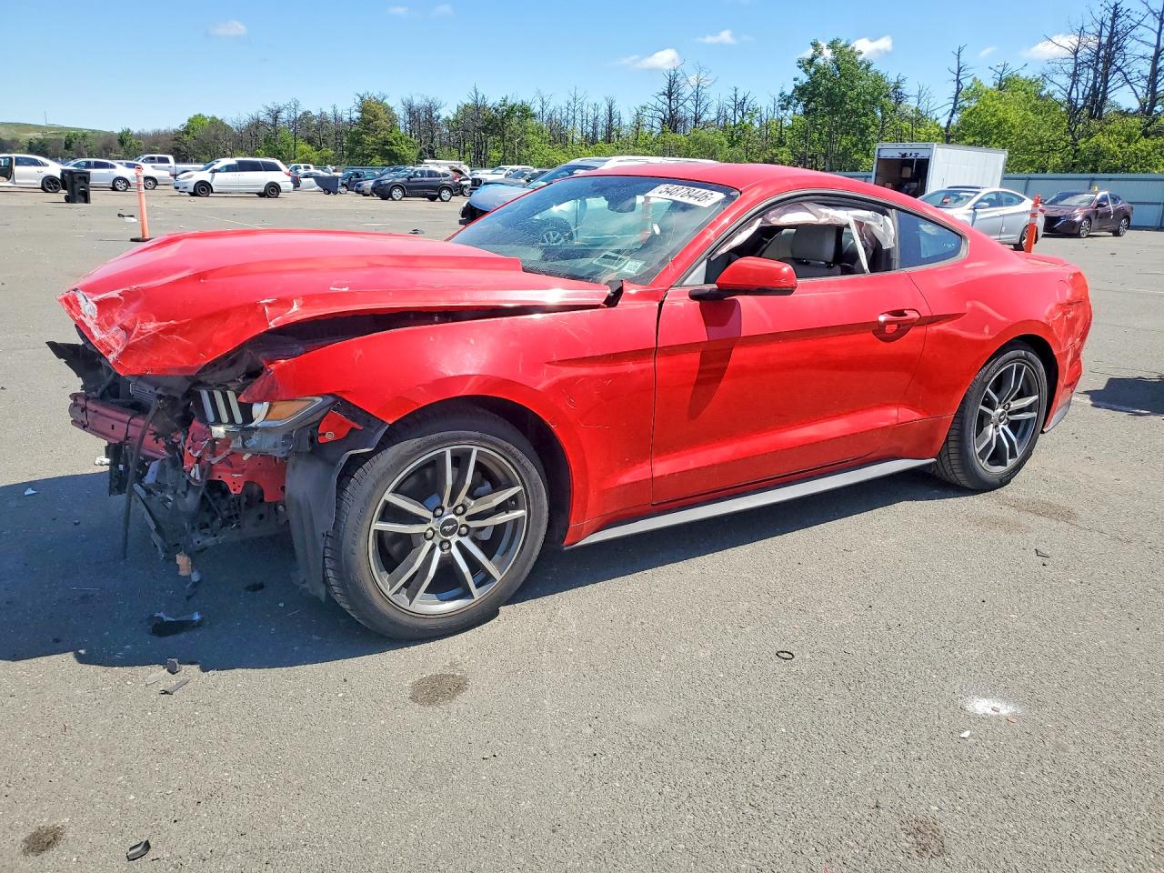 Salvage Ford Mustang Image
