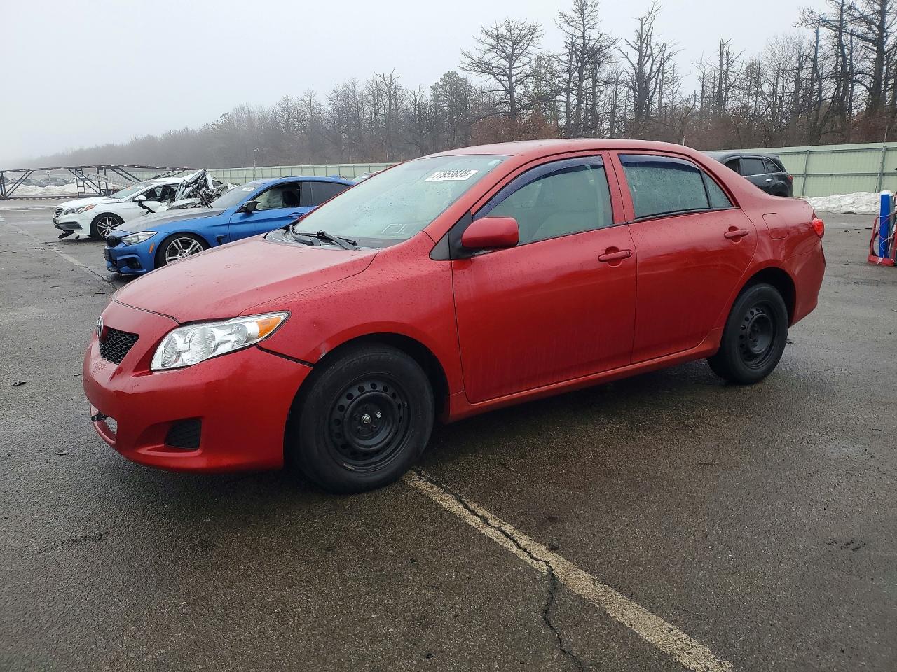 Salvage Toyota Corolla Image