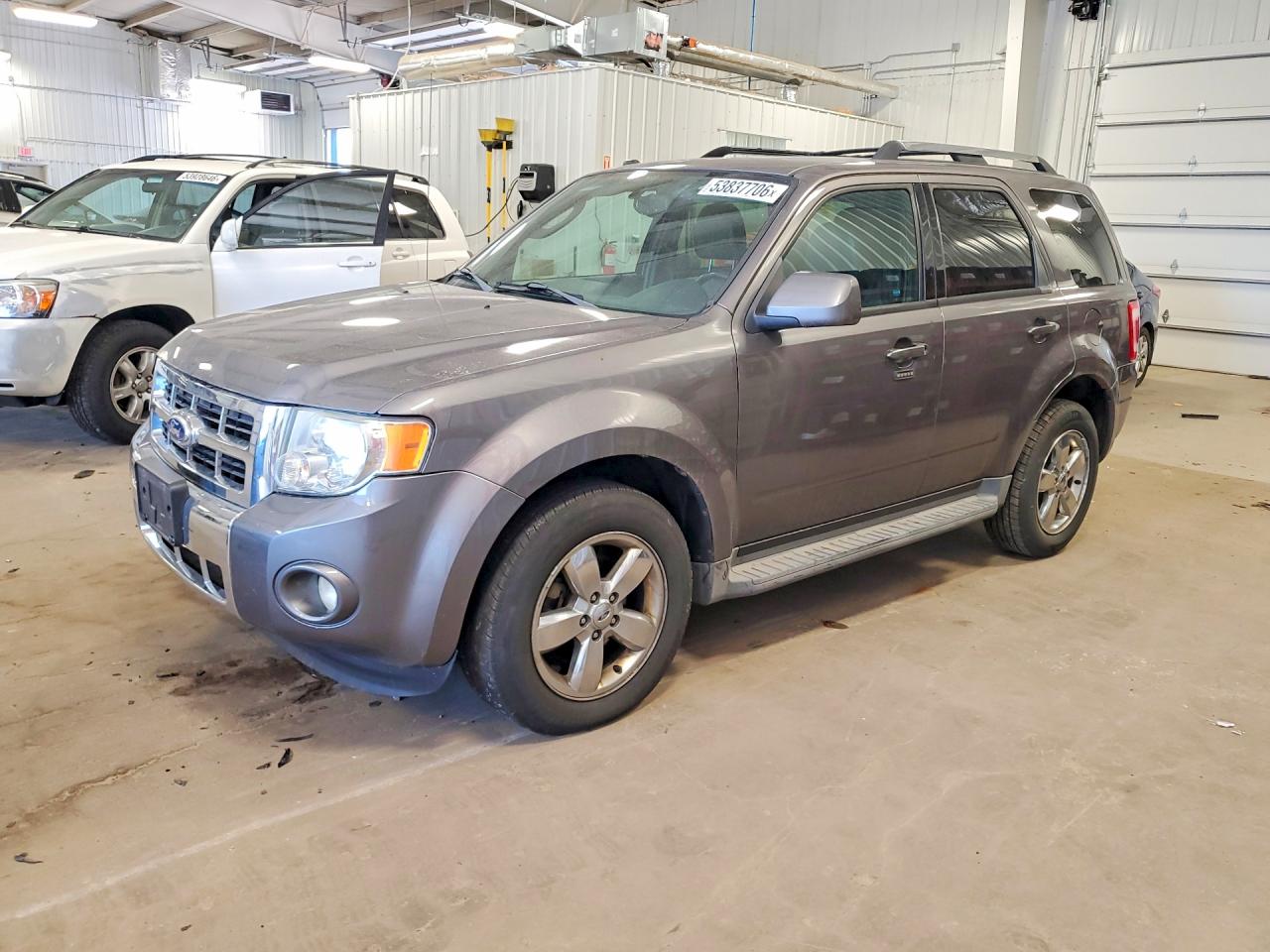 Salvage Ford Escape Image