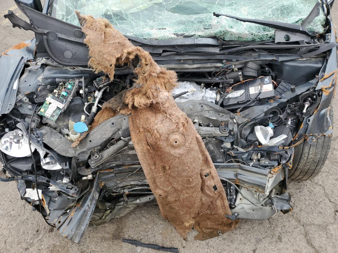 Honda Odyssey Exl