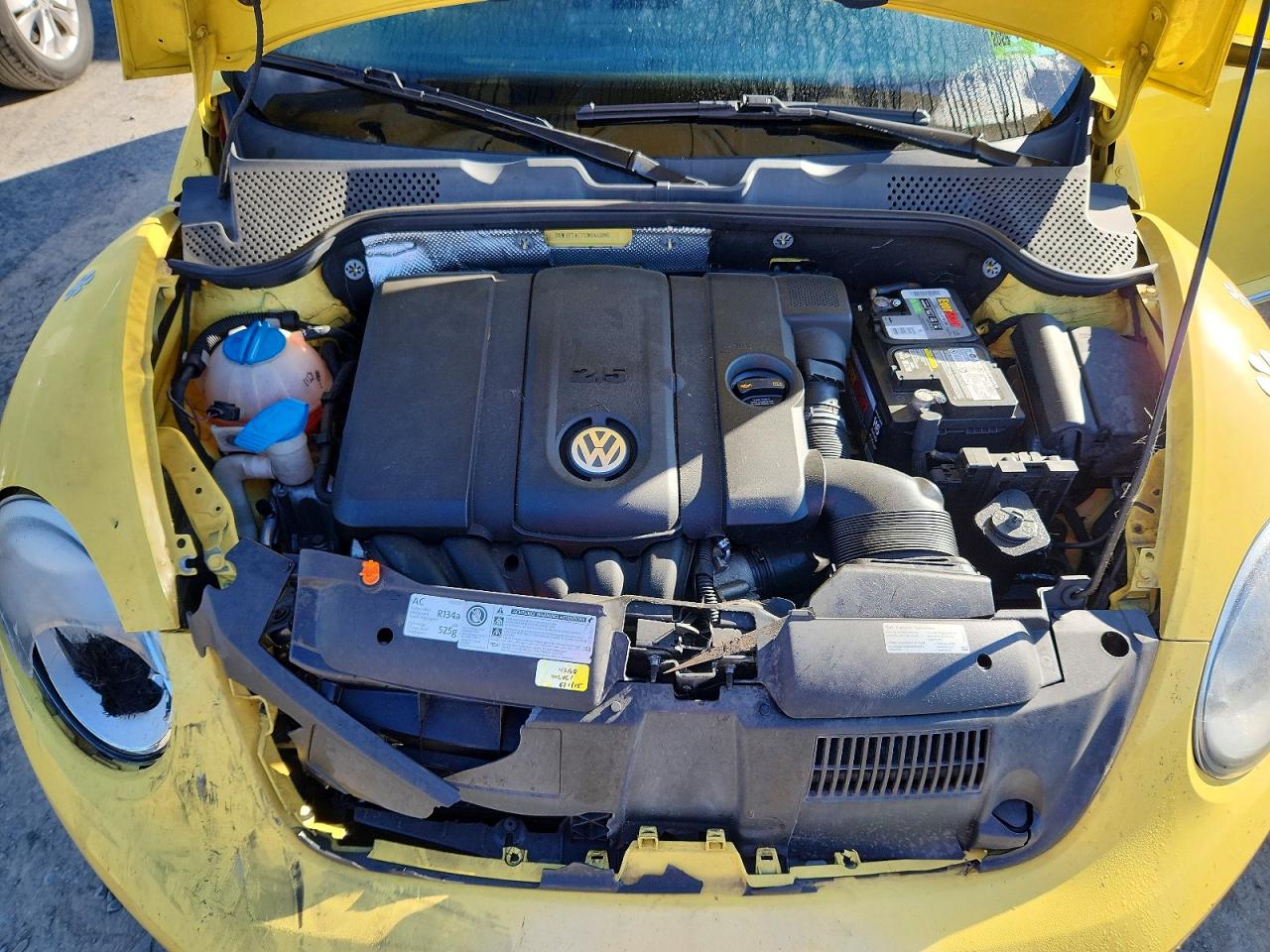 Volkswagen Beetle
