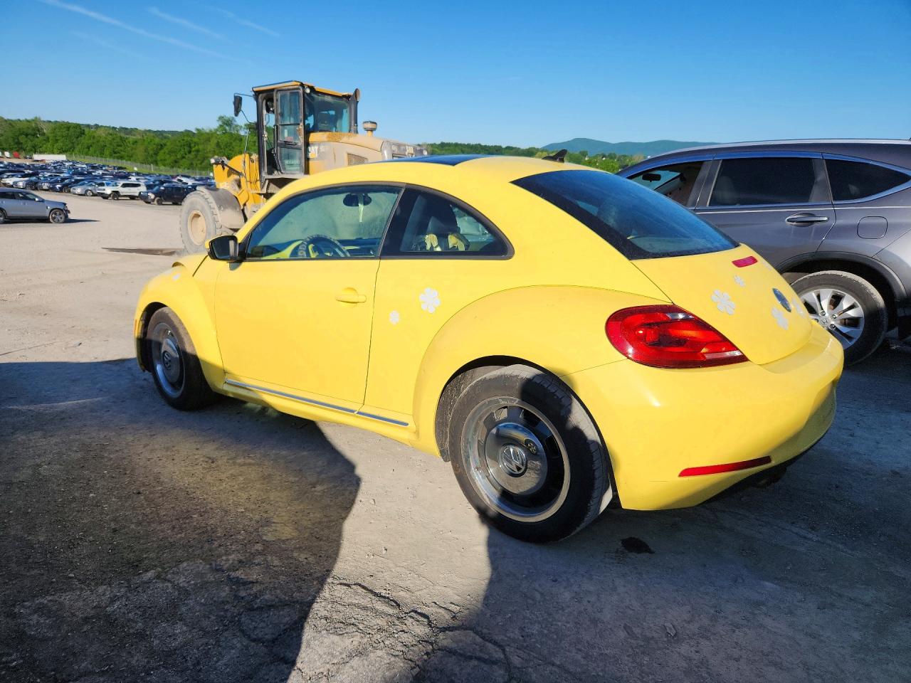 Volkswagen Beetle