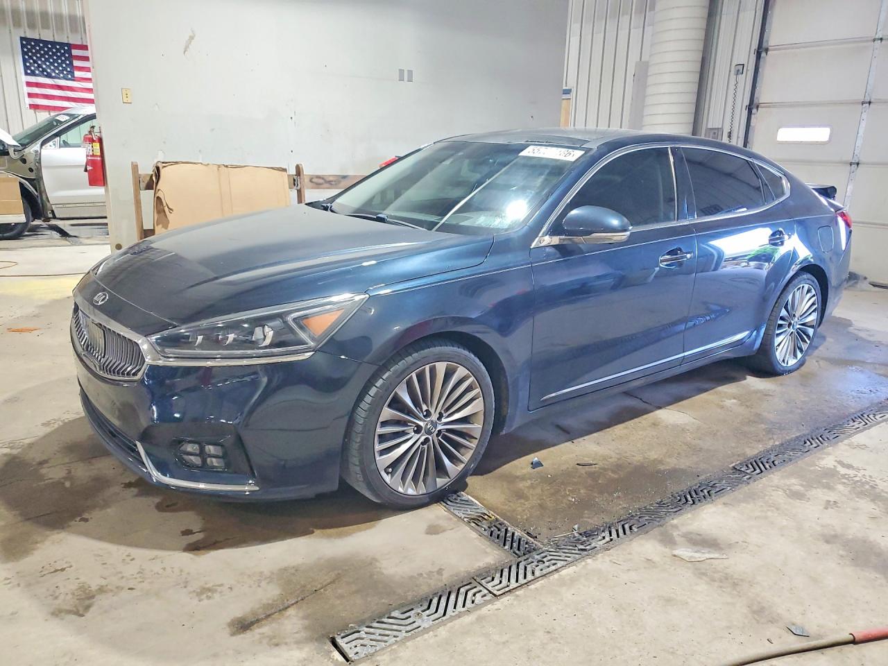 Salvage Kia Cadenza Image