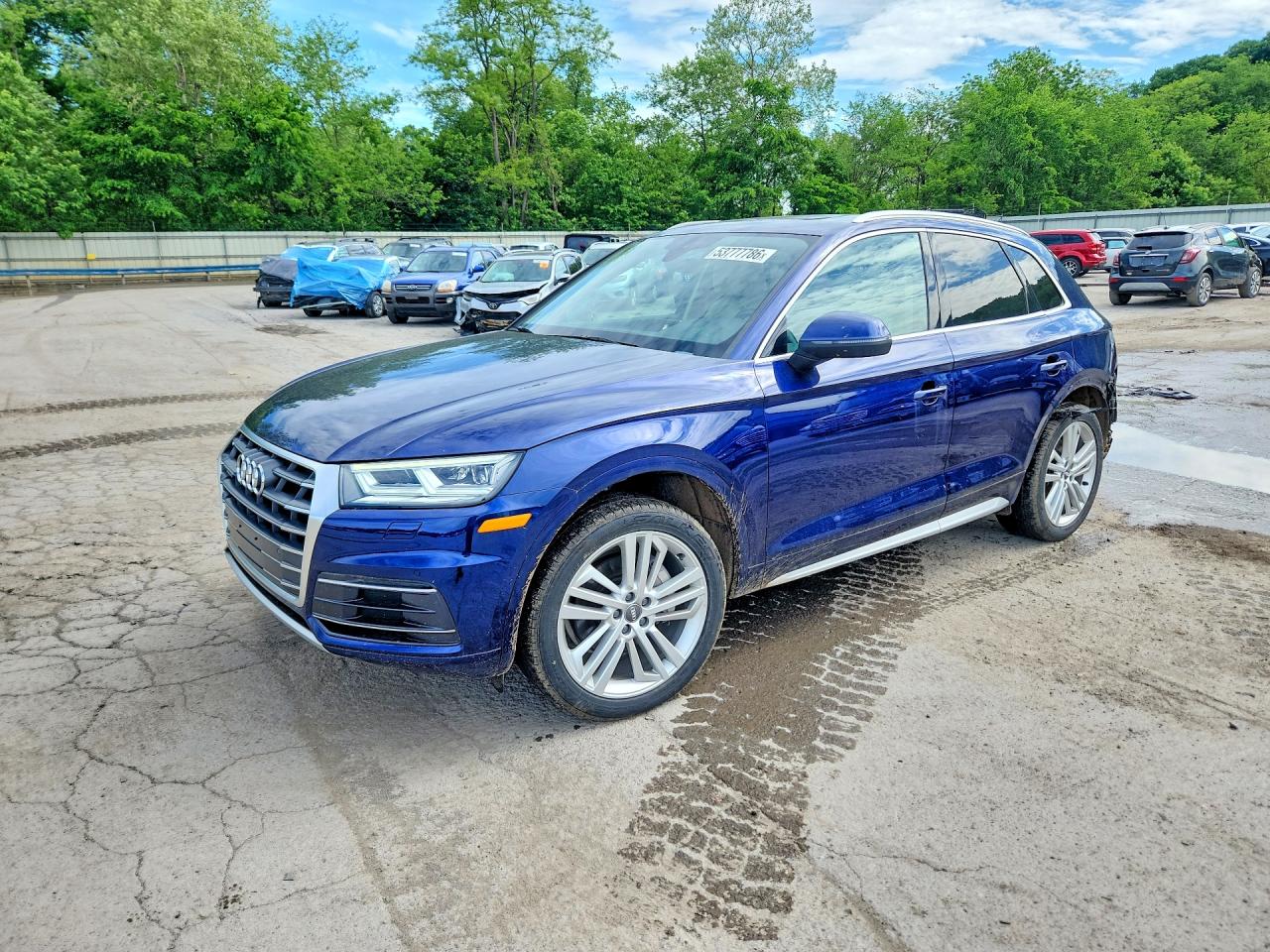 Salvage Audi Q5 Image