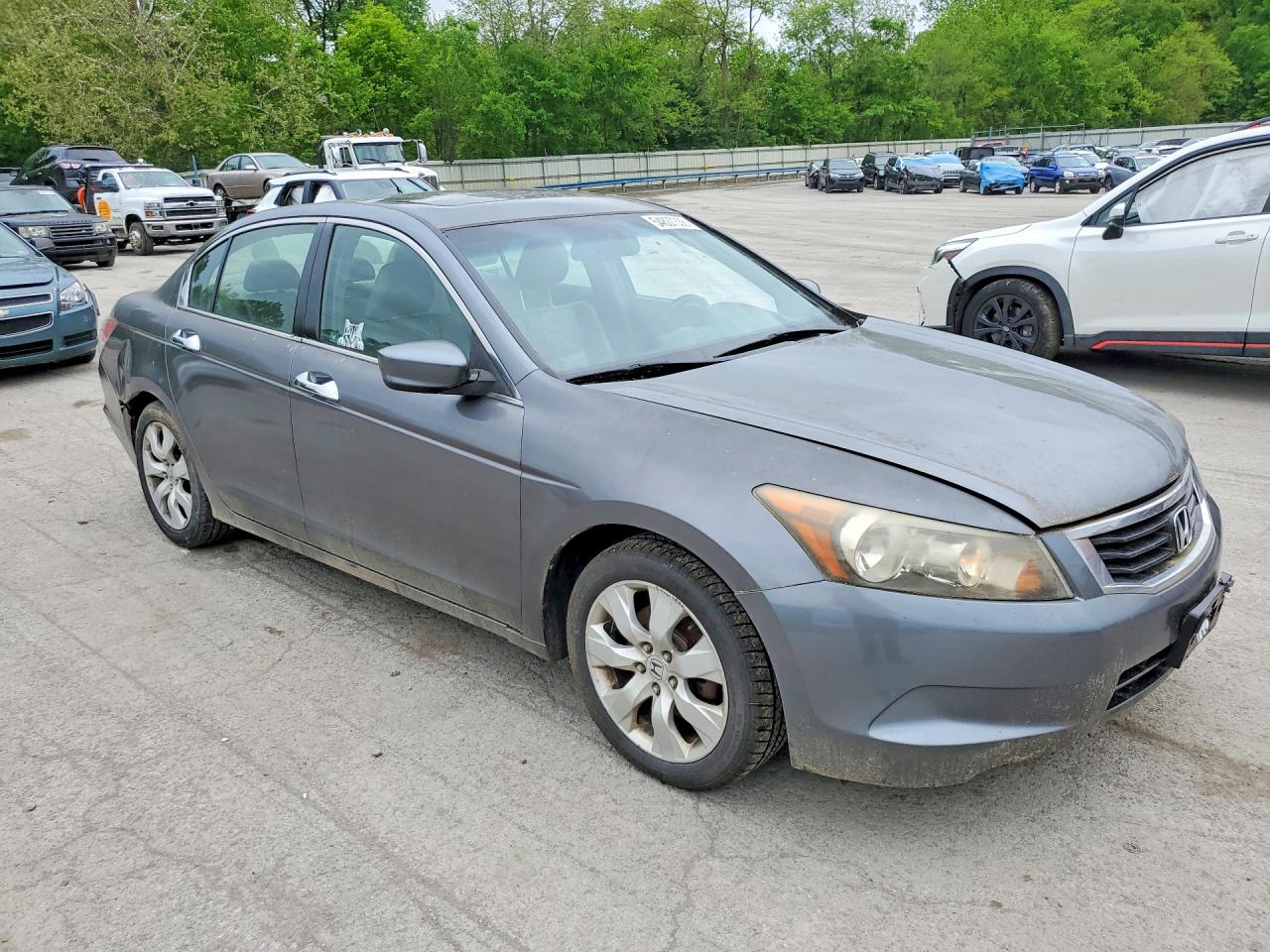 Honda Accord Exl