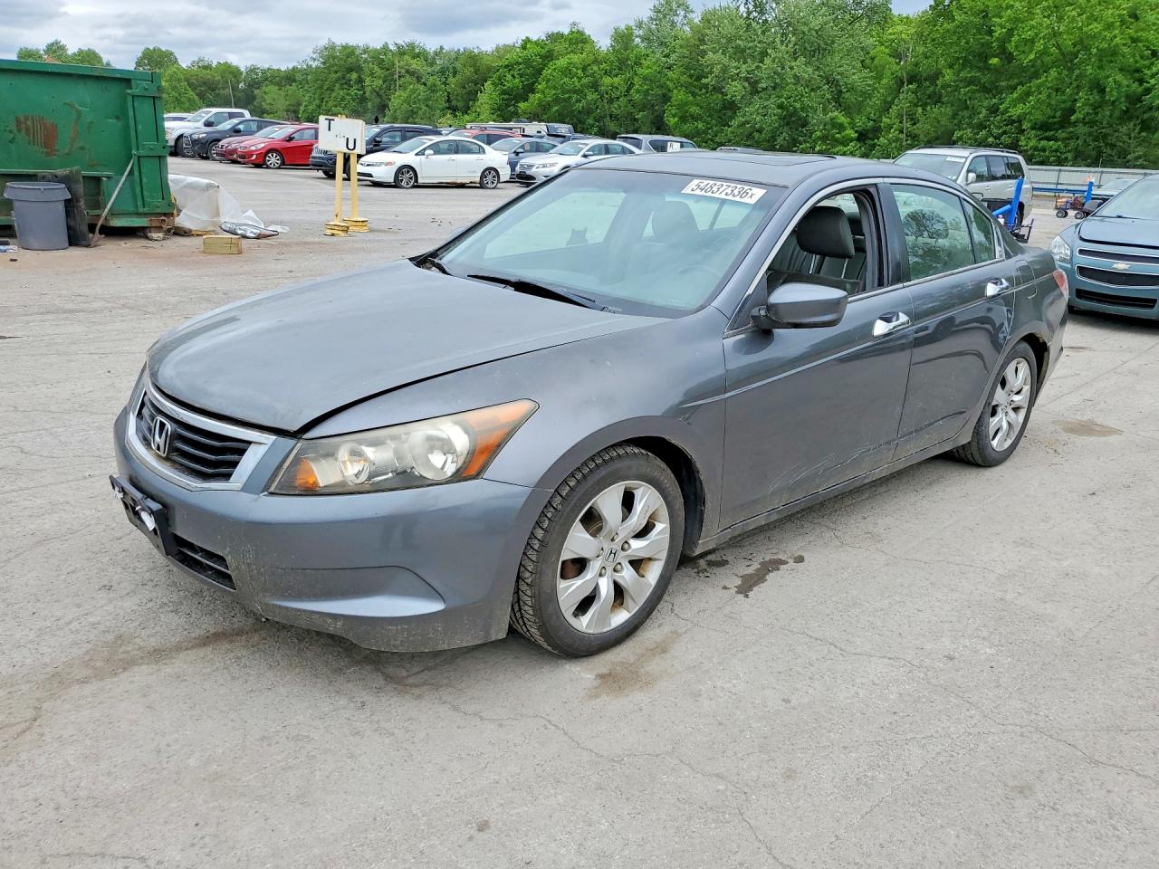 Salvage Honda Accord Image