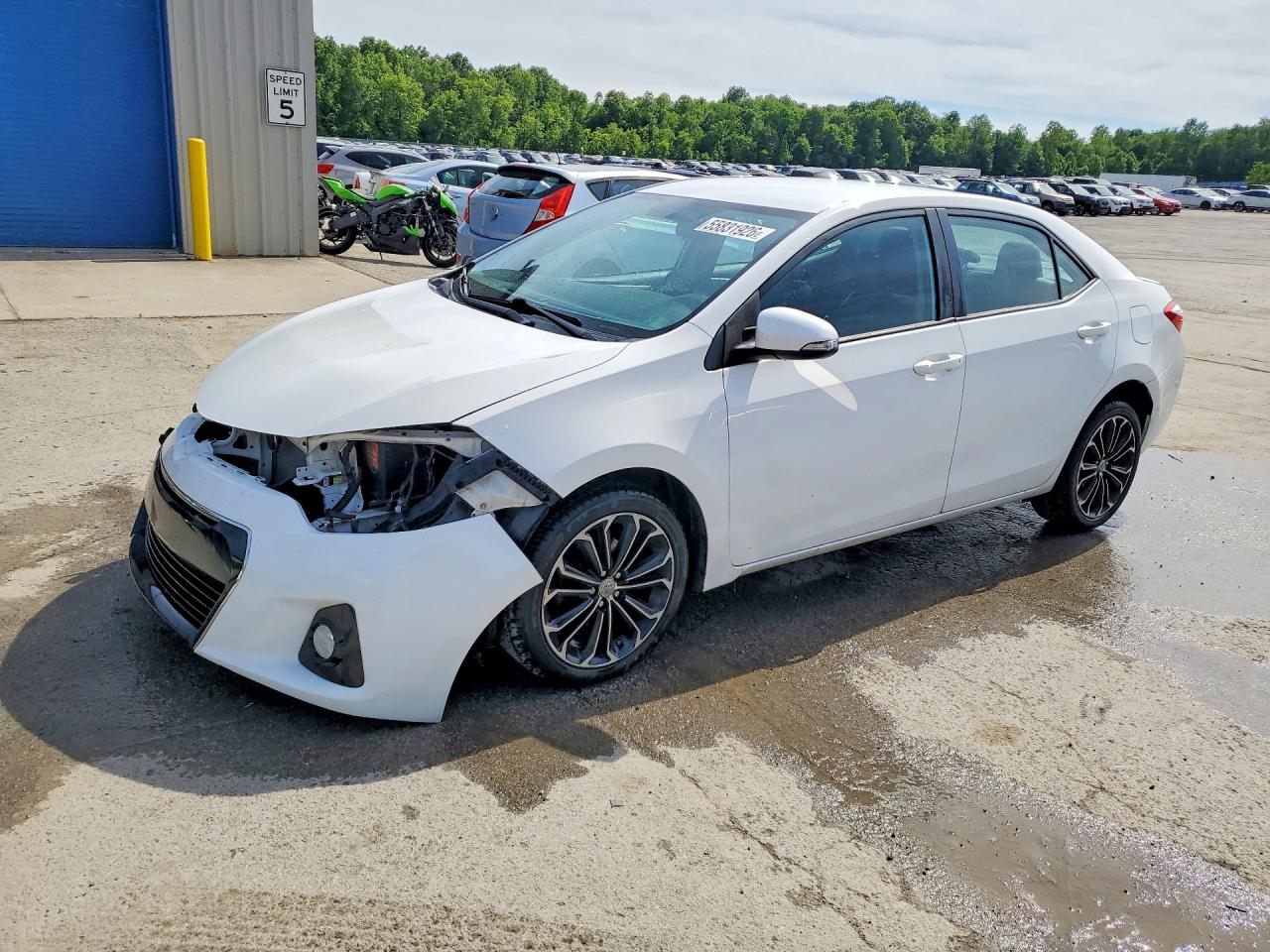 Salvage Toyota Corolla Image