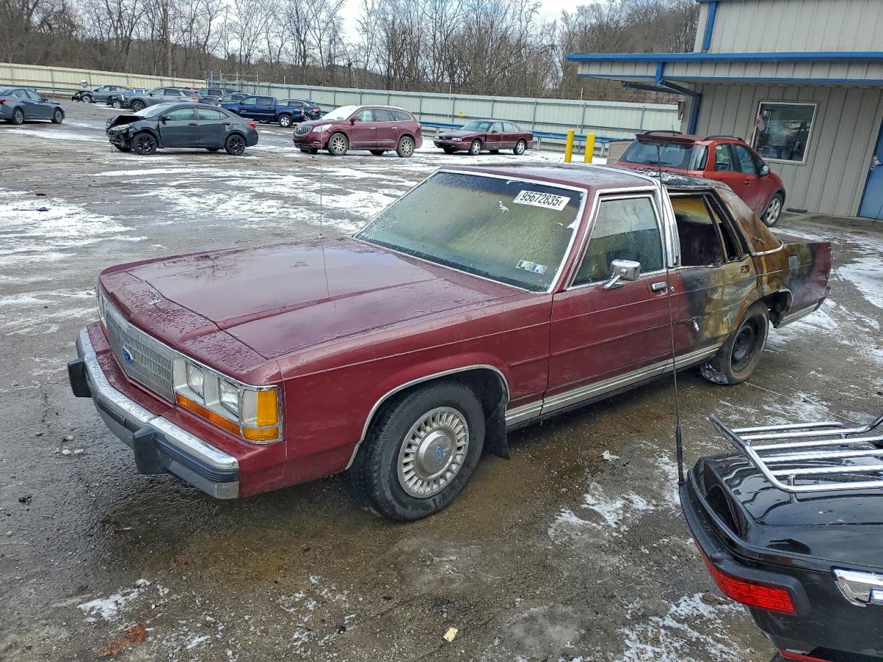 Salvage Ford Crown Vic Image