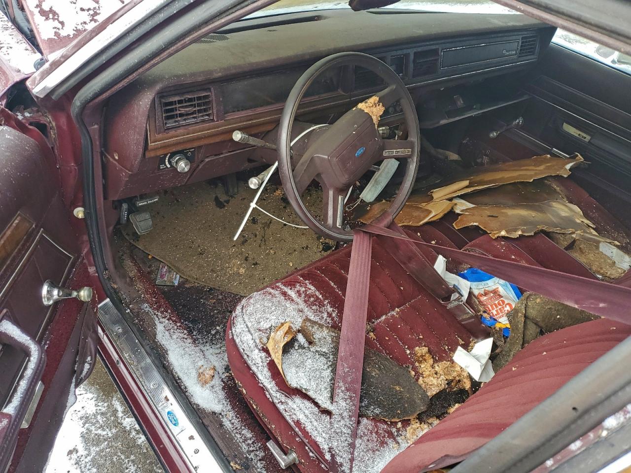 Ford Crown Vic
