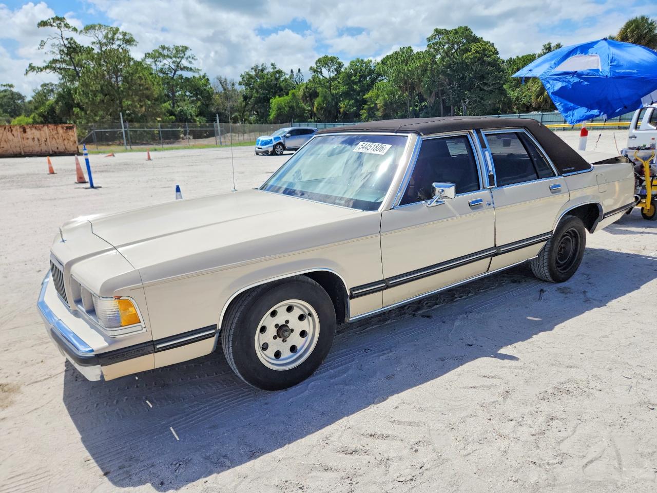 Salvage Mercury Grmarquis Image