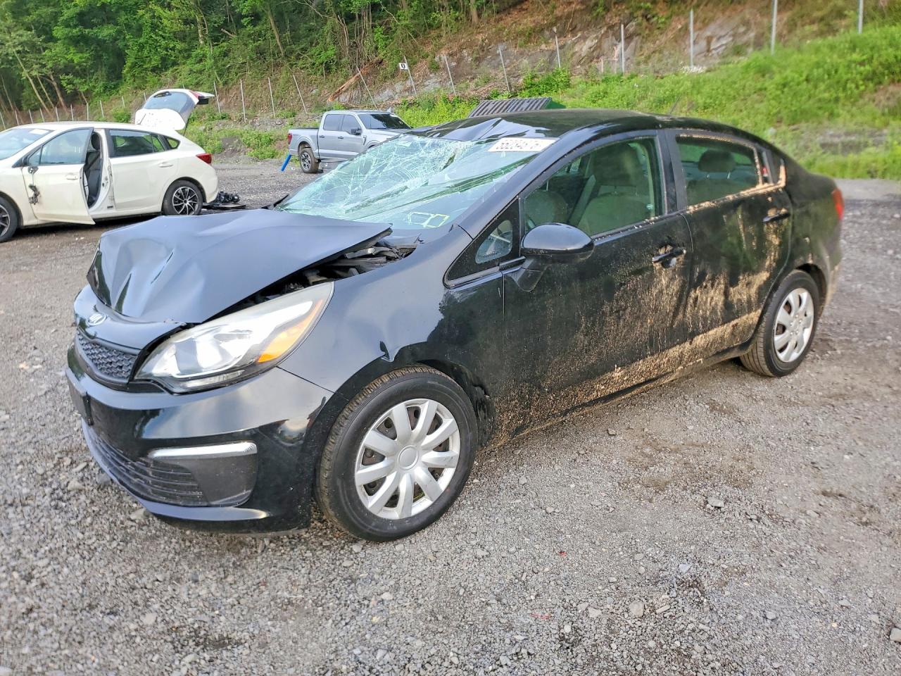 Salvage Kia Rio Image