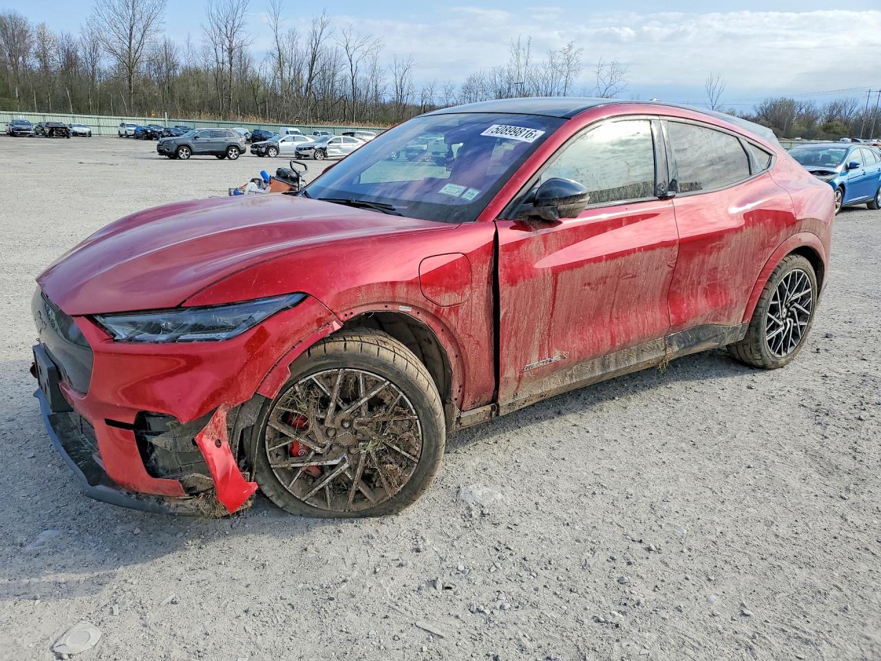 Salvage Ford Mustang Image