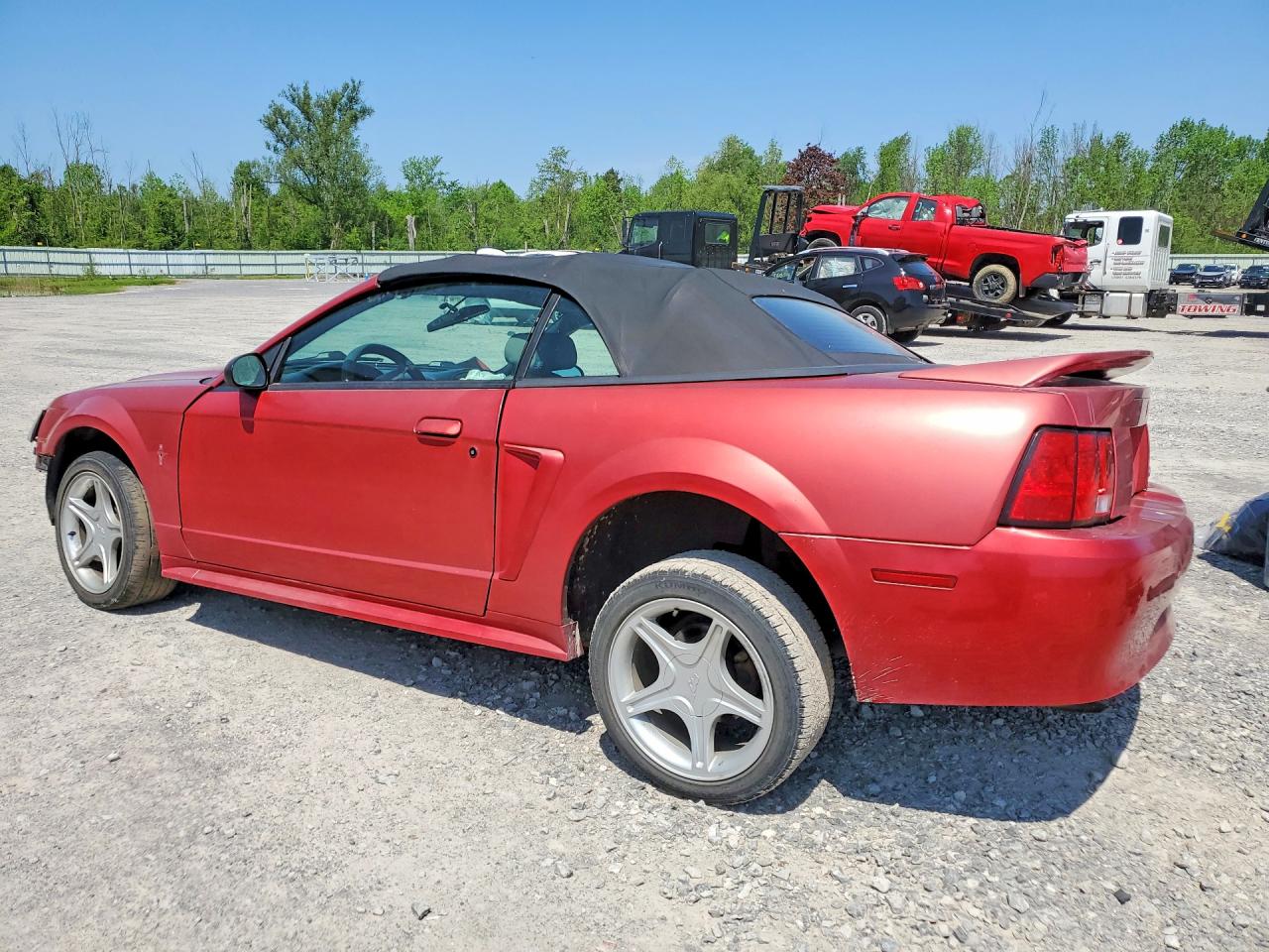 Ford Mustang V6 Convertible