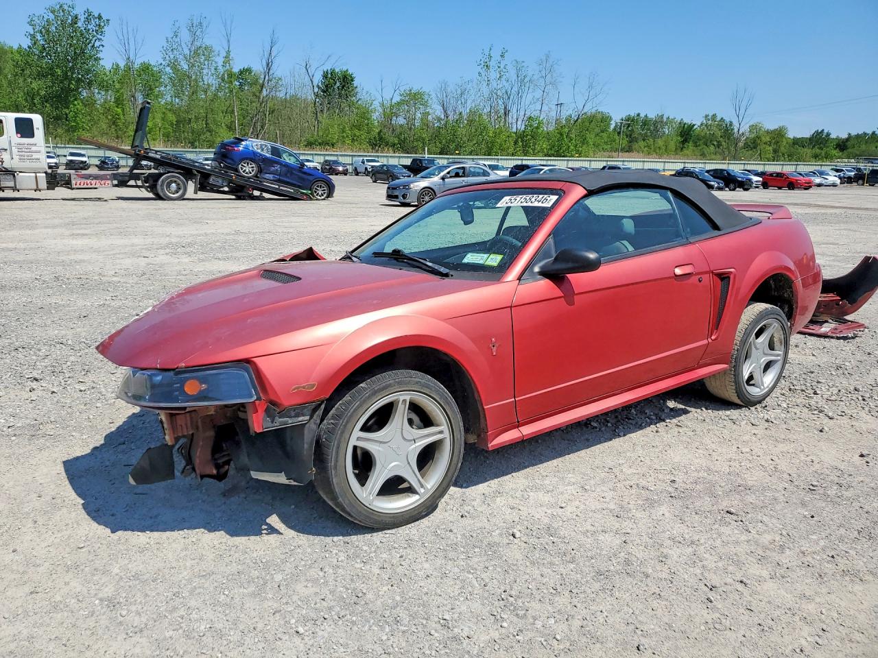 Salvage Ford Mustang Image