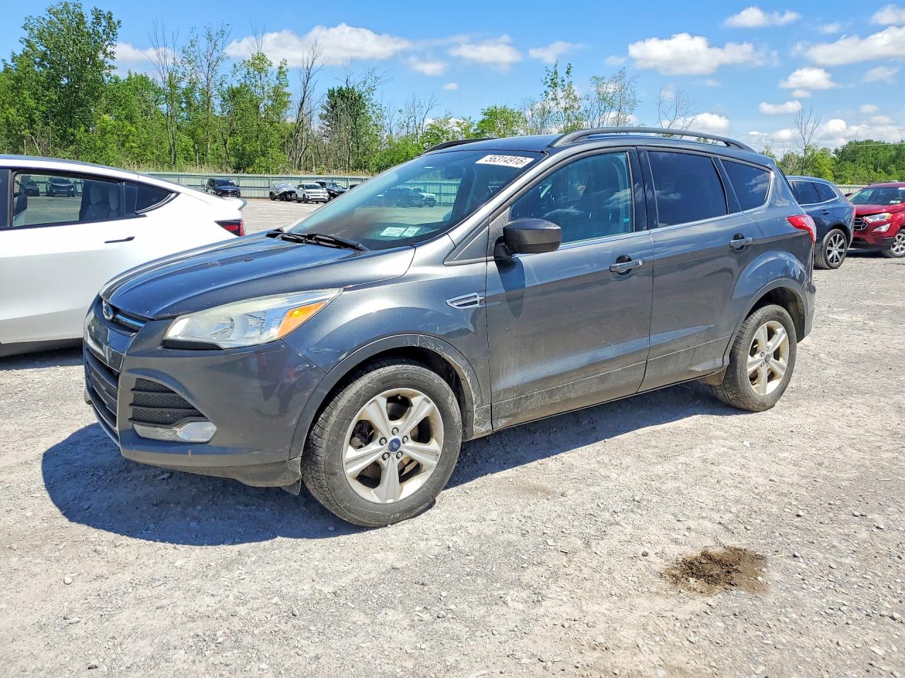 Salvage Ford Escape Image