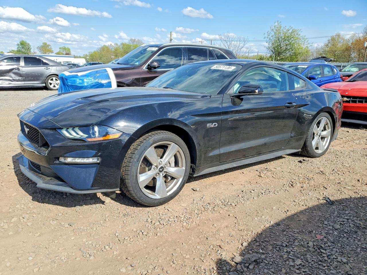Salvage Ford Mustang Image