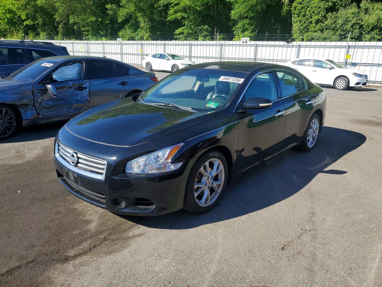 Salvage Nissan Maxima Image