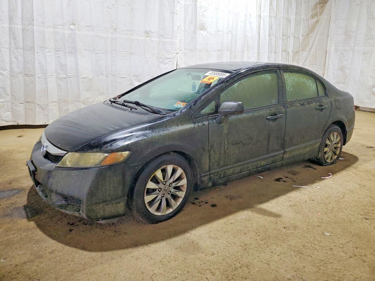 Salvage Honda Civic Image