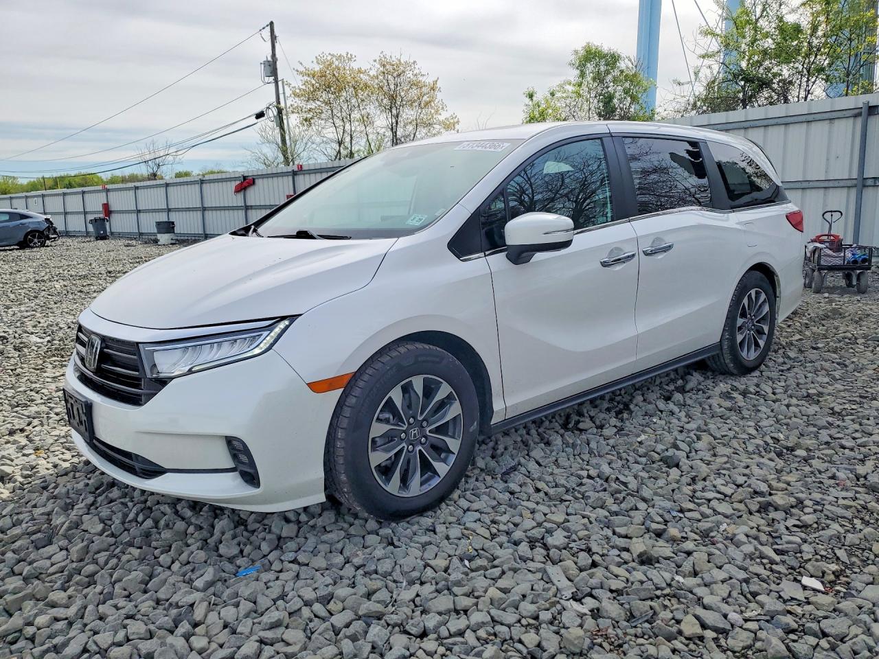 Salvage Honda Odyssey Image
