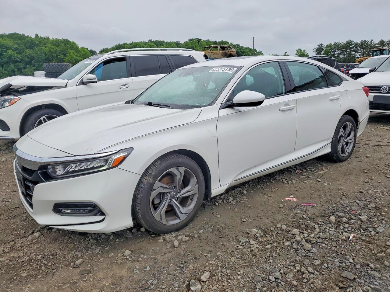 Salvage Honda Accord Image