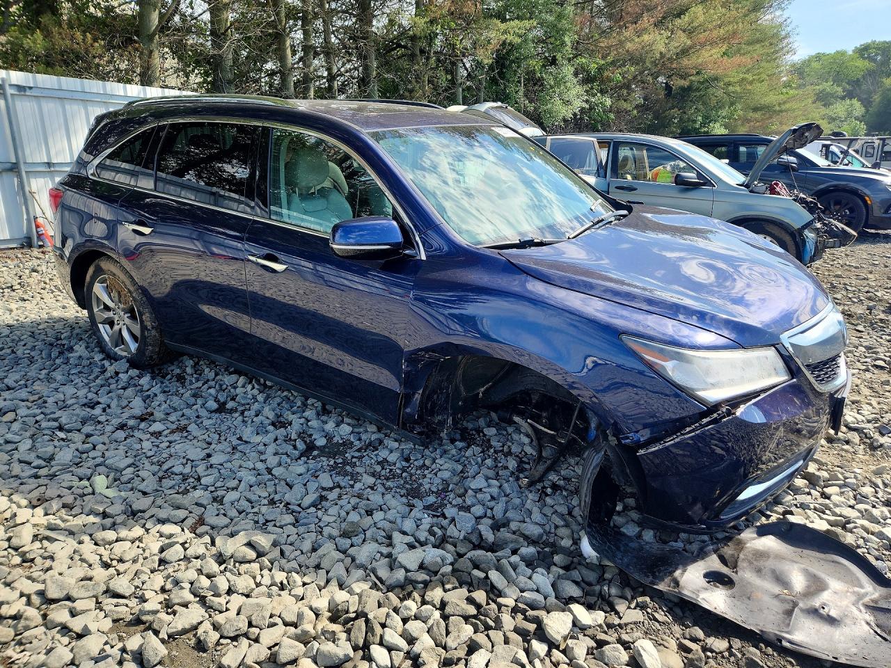 Acura MDX Advance