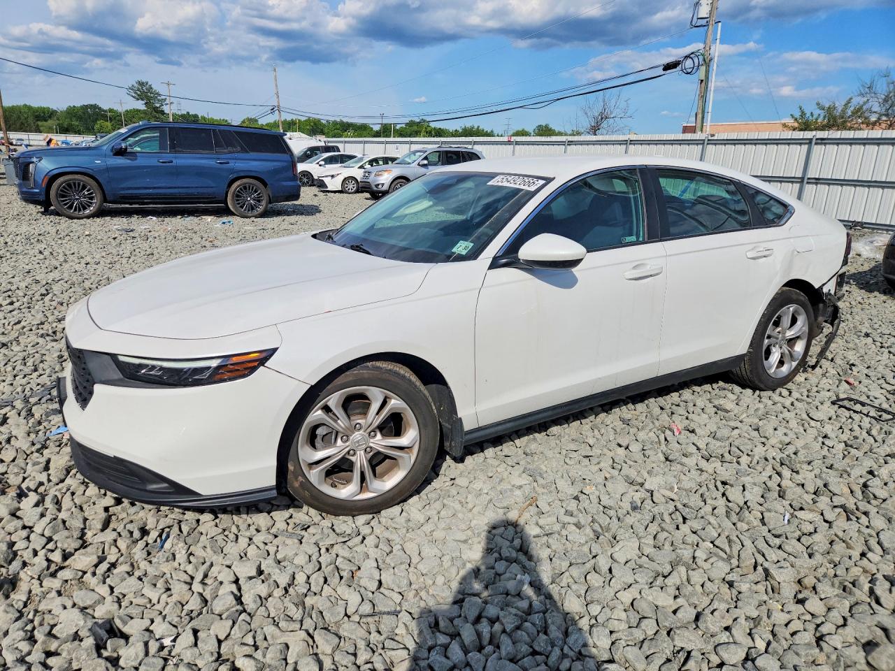 Salvage Honda Accord Image