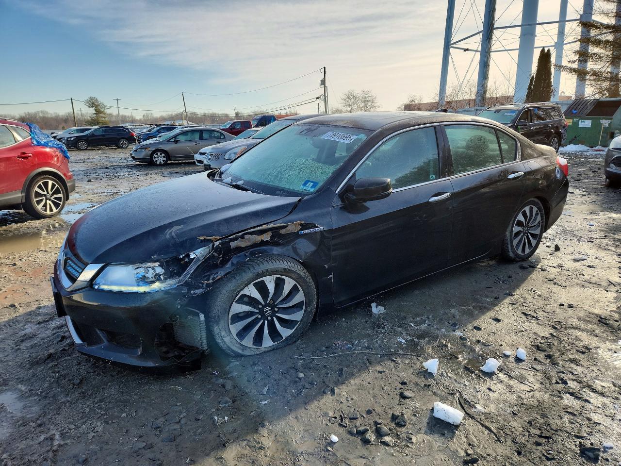 Salvage Honda Accord Image