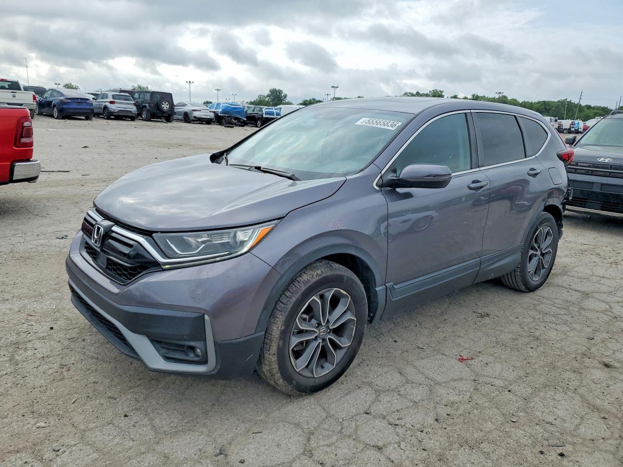 Salvage Honda Crv Image