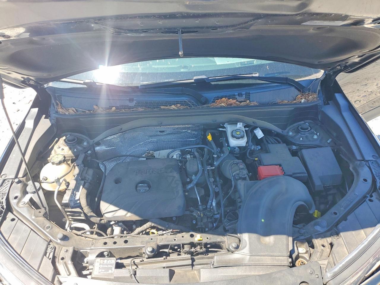 Chevrolet Trailblaze Activ