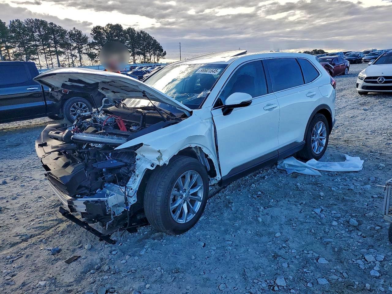 Salvage Honda Crv Image